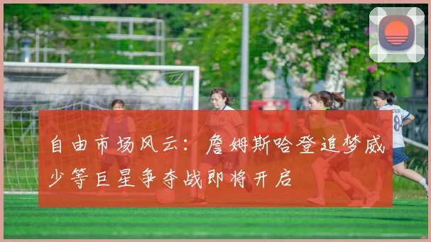 自由市场风云：詹姆斯哈登追梦威少等巨星争夺战即将开启