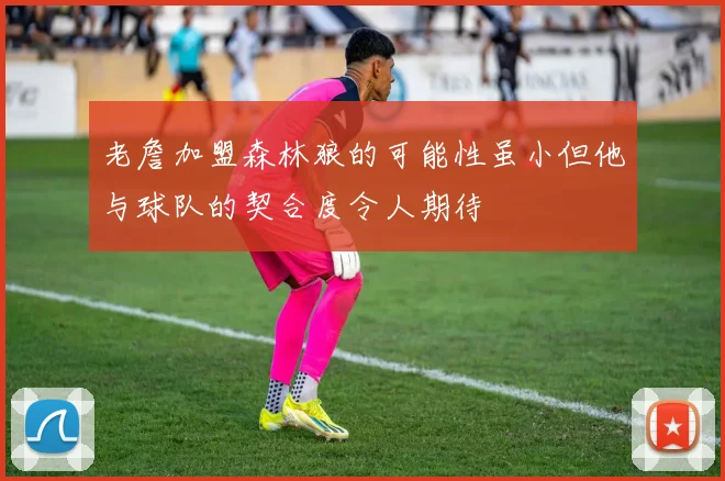 老詹加盟森林狼的可能性虽小但他与球队的契合度令人期待