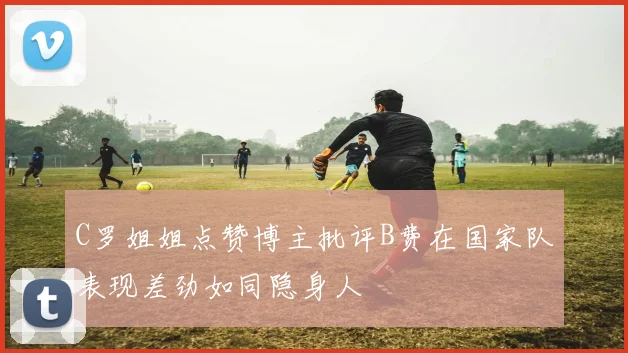 C罗姐姐点赞博主批评B费在国家队表现差劲如同隐身人
