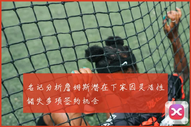 名记分析詹姆斯潜在下家因灵活性错失多项签约机会
